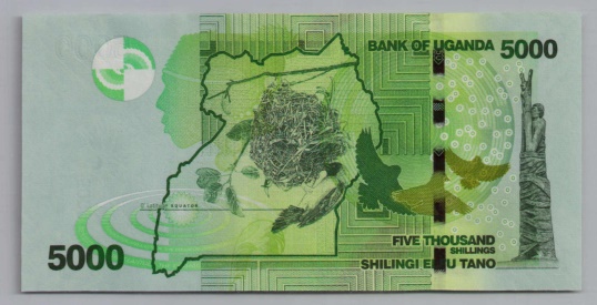 [Resmi Tam Görüntüle]
